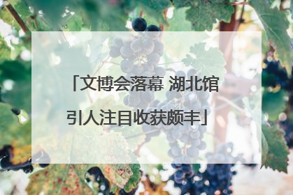 文博会落幕 湖北馆引人注目收获颇丰
